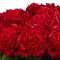 2.5ft. Giant Rose Silk Flower Arrangement in Glass Cylinder Vase
